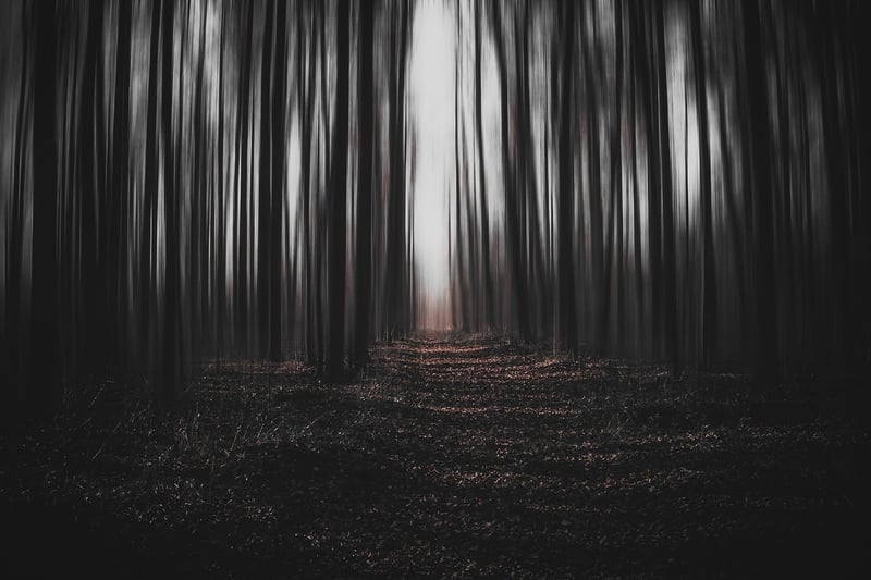 Parallel Universes Image